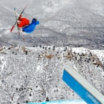 Profile picture of Alexander Donovan